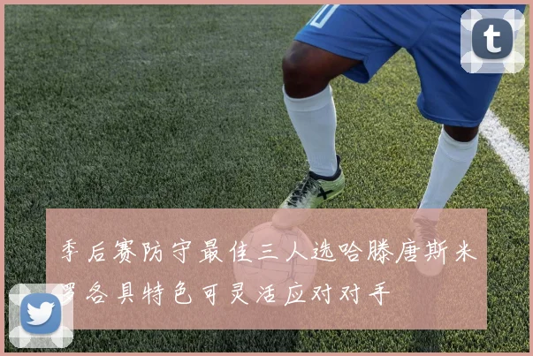 季后赛防守最佳三人选哈滕唐斯米罗各具特色可灵活应对对手